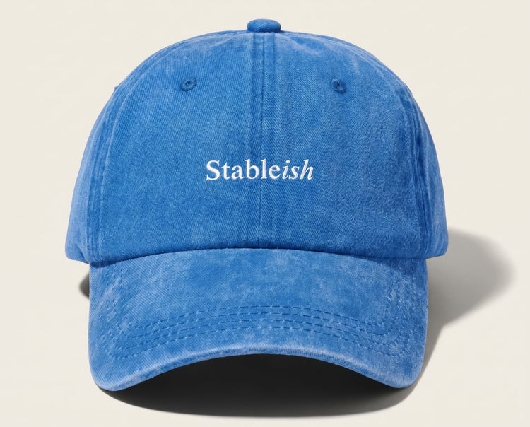 Stableish Vintage Dad Hat