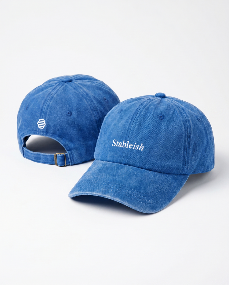 Stableish Vintage Dad Hat